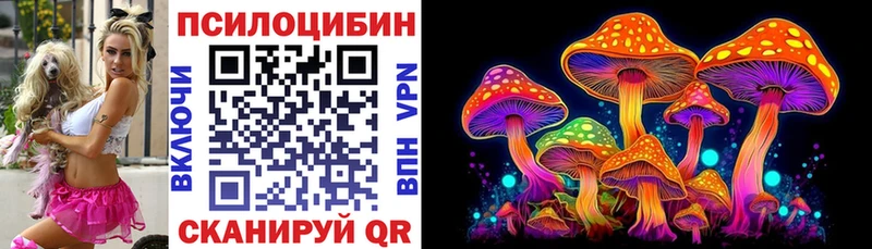 Галлюциногенные грибы Psilocybe  где купить   darknet клад  Киселёвск 